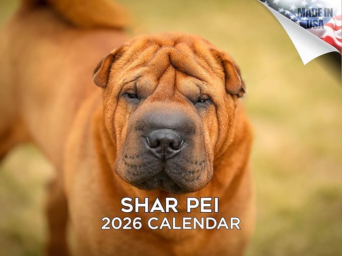 2025 2026 Shar Pei Calendar - Dog Breed Monthly Wall Planner - 12" x 18" Open - Thick No-Bleed Paper - Giftable - Academic Teacher's Organizing & Planning