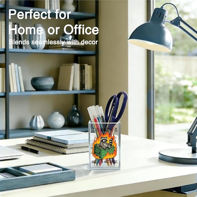 It Is What It Is and It Is Not Great Acrylic Organizer Pencil Pen Holder, Funny Raccoon Humor Dumpster Fire Desk Organizer Gifts for Coworker Friend Burnout Office Worker