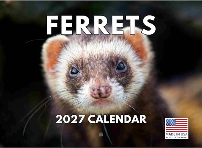 Ferret Calendar 2027 Monthly Wall Calender 12 Month