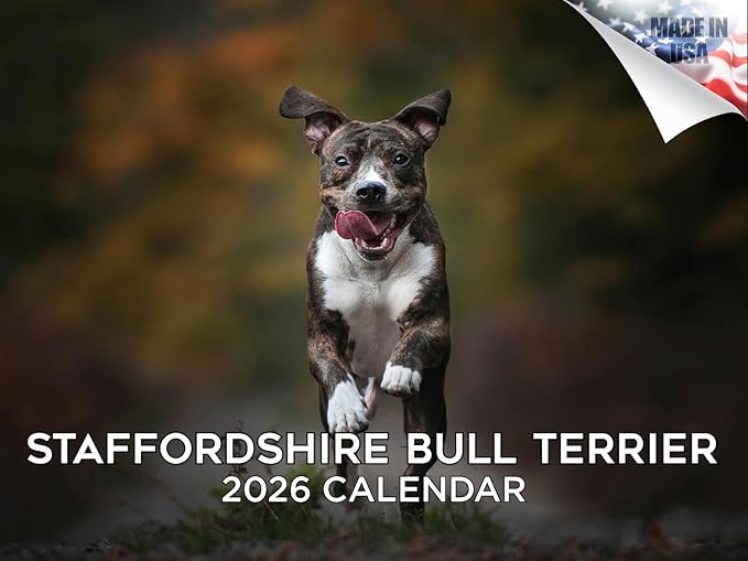 2025 2026 Pitbull Calendar - Staffordshire Bull Terrier Dog Breed Monthly Wall Calendar - 12" x 18" Open - Thick No-Bleed Paper - Giftable - Academic Teacher's Planner Calendar Organizing & Planning