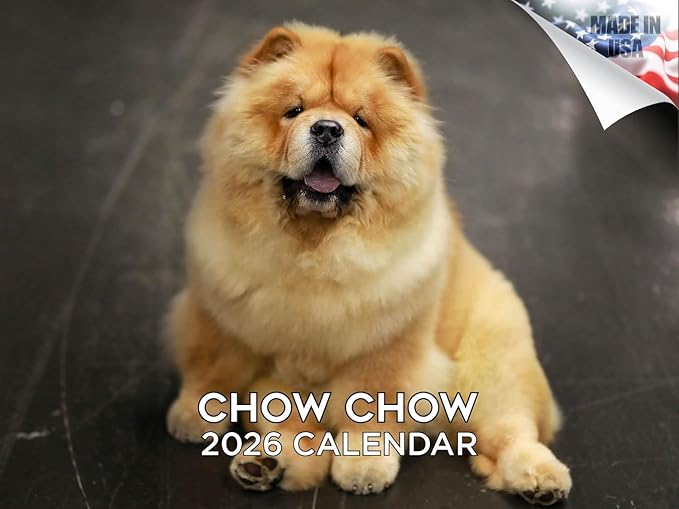 2025 2026 Chow Chow Calendar - Dog Breed Monthly Wall Calendar - 12" x 18" Open - Thick No-Bleed Paper - Giftable - Academic Teacher's Planner Calendar Organizing & Planning - Made in USA