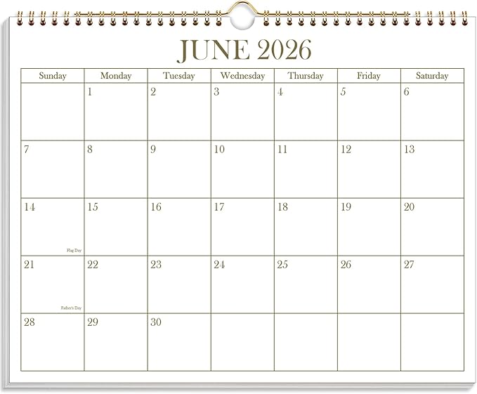 2026-2027 Calendar - 2026-2027 Wall Calendar from June 2026 - December 2027, 19 Months Calendar with Premium Paper, Twin-Wire Binding & Hanging Hook, 8.5" x 11", Golden