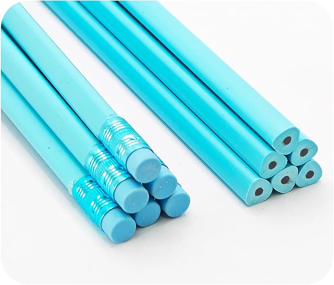 24Pcs HB Graphite Triangular Grip Wood Pencils with Eraser for School, Drawing and Sketching, and Office Use(Blue)