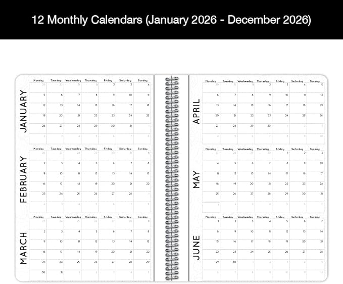 Dated Annual Color Your Year 2026 Planner, Full Calendar Year, Medium (6.625" by 9")