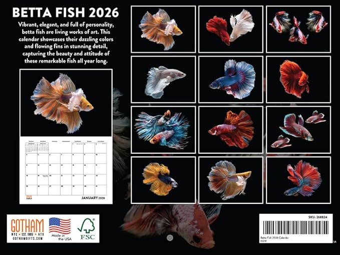 Betta Fish Calendar 2026 Monthly Wall Gifts Calender 12 Month | American Made In The USA