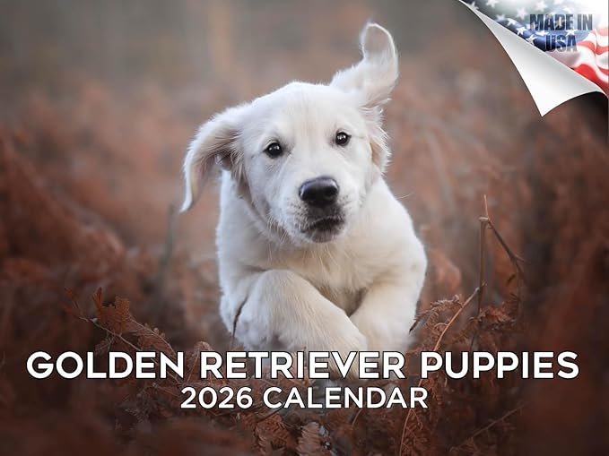 2025 2026 Golden Retriever Pups Calendar - Dog Breed Monthly Wall Calendar - 12" x 18" Open - Thick No-Bleed Paper - Giftable - Academic Teacher's Planner Calendar Organizing & Planning - Made in USA