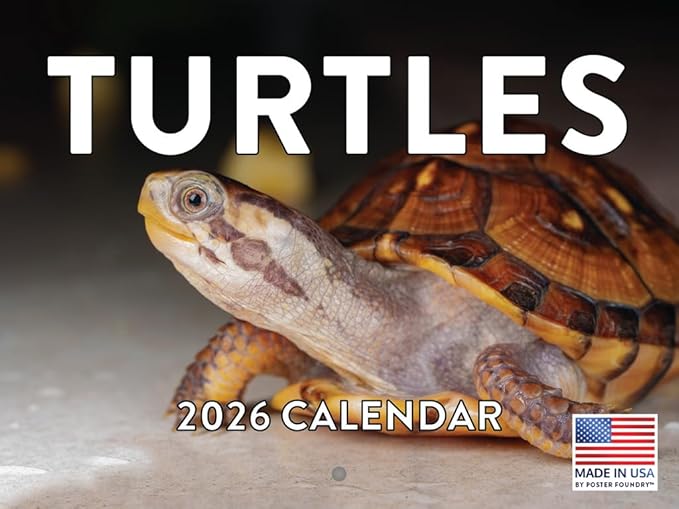 Turtle Calendar 2026 Monthly Wall Calender 12 Month | American Made In The USA
