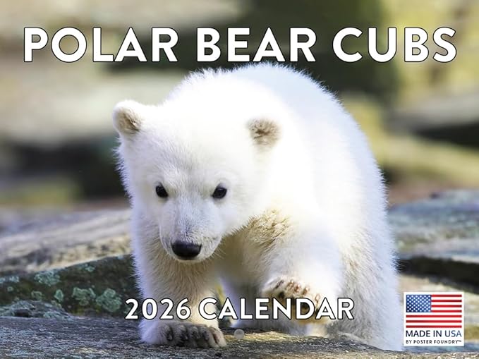 Baby Polar Bear Cubs Calendar 2026 Monthly Wall Calender 12 Month | American Made In The USA