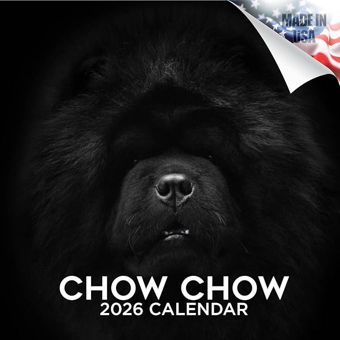 Chow Chow Calendar 2026 by MegaCalendars – Monthly Dog Breed Wall Calendar, Made in USA