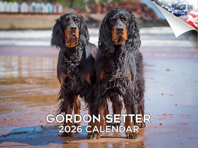 2025 2026 Gordon Setter Calendar - Dog Breed Monthly Wall Calendar - 12" x 18" Open - Thick No-Bleed Paper - Giftable - Academic Teacher's Planner Calendar Organizing & Planning - Made in USA