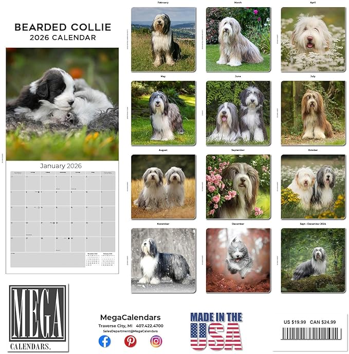Bearded Collie Calendar 2026 by MegaCalendars – Monthly Dog Breed Wall Calendar, Made in USA