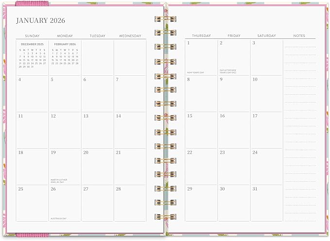 Orange Circle Studio Academic Planner 2026, Coneflower, 17-Month Oliver Planners, Wire-O Bound Monthly Calendar Book, Appointment, Goal & Budget Trackers, Includes 100 Full Color Stickers