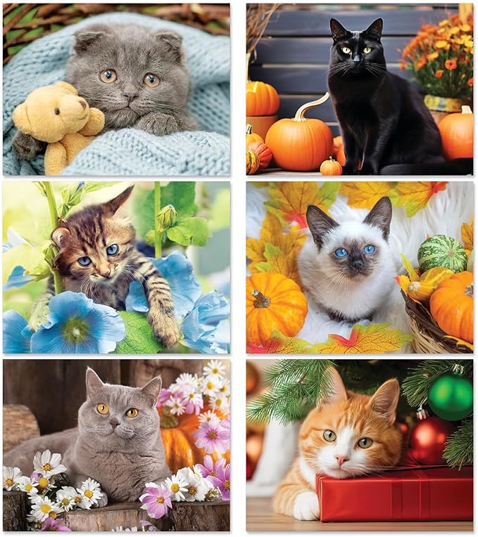 Current 2026 Love Those Cats Wall Calendar, 12-Inch x 9-Inch Size Closed, 18-Inch Size Open, Large Bookstore-Quality, Spiral-Bound Hanging Monthly Wall Calendars for Kitchen & Office
