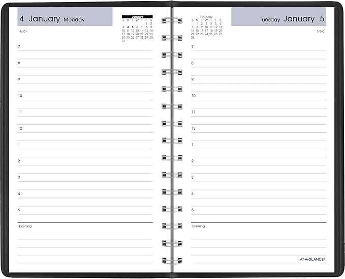 AT-A-GLANCE 2027 Appointment Book Planner, Daily, 5" x 8", Hourly, DayMinder, Black (SK440027)