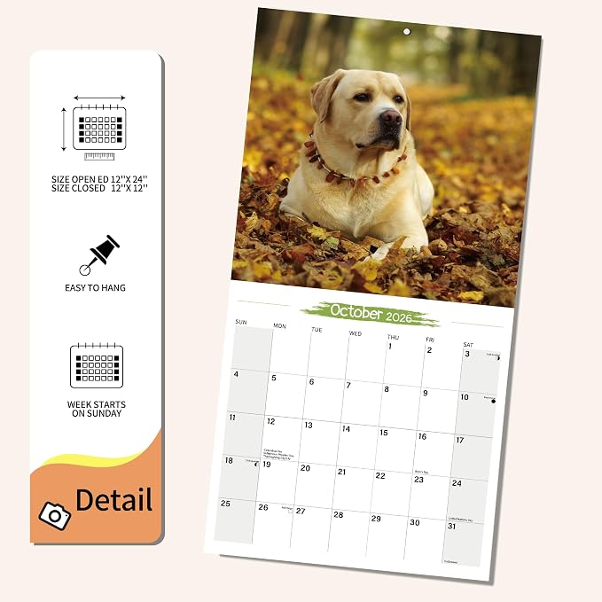 2026 Wall Calendar Labrador Retriever Planner Calendar, Hangable Monthly Wall Calendar with Large Blocks for Organizing & Planning, Academic Schedule, Home, Office & family, Thick & Sturdy Paper (12"x24" Open)