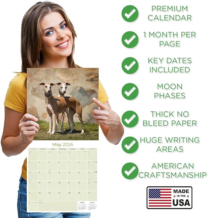 Whippet Calendar 2026 by MegaCalendars – Monthly Dog Breed Wall Calendar, Made in USA