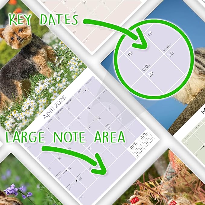 Yorkshire Terrier Calendar 2026 by MegaCalendars – Monthly Dog Breed Wall Calendar, Made in USA