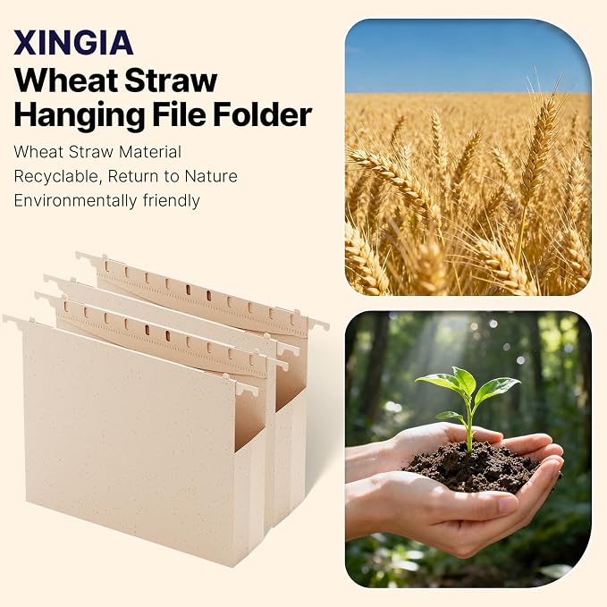 XINGIA Plastic Hanging File Folders Letter Size, Heavy Duty 2" Expansion, 12 Pack Reinforced Hanging Folders with Adjustable Tab for Bulk Files/Medical Charts, Ideal School Classroom Office Supplies