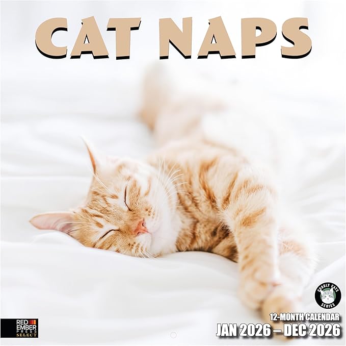 RED EMBER Select - Cat Naps 2026 Wall Calendar 12 Month | 12" x 24" Open | Thick & Sturdy Paper | Giftable | Cute Funny Kitten Cat Calendar 2026