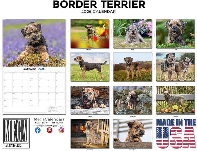2025 2026 Border Terrier Calendar - Dog Breed Monthly Wall Calendar - 12" x 18" Open - Thick No-Bleed Paper - Giftable - Academic Teacher's Planner Calendar Organizing & Planning - Made in USA