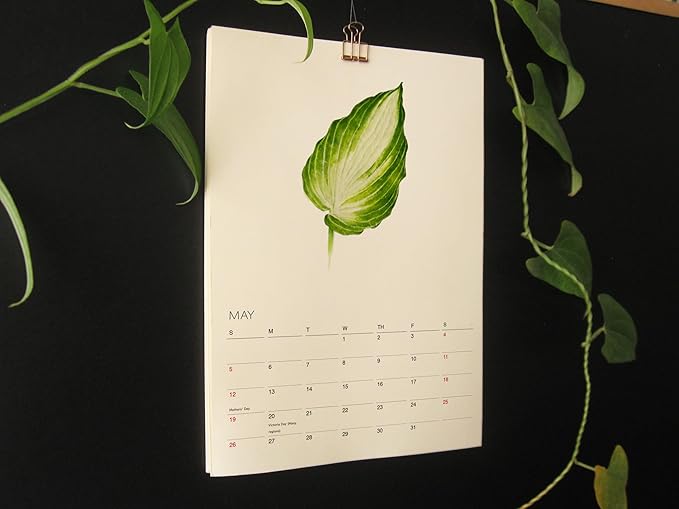 Tropical Plant - 2025 Botanical Watercolor Art Wall Calendar, Foliage Painting Planner, Christmas Gift for Plant Lover, A4 21 x 29.7 cm (1)