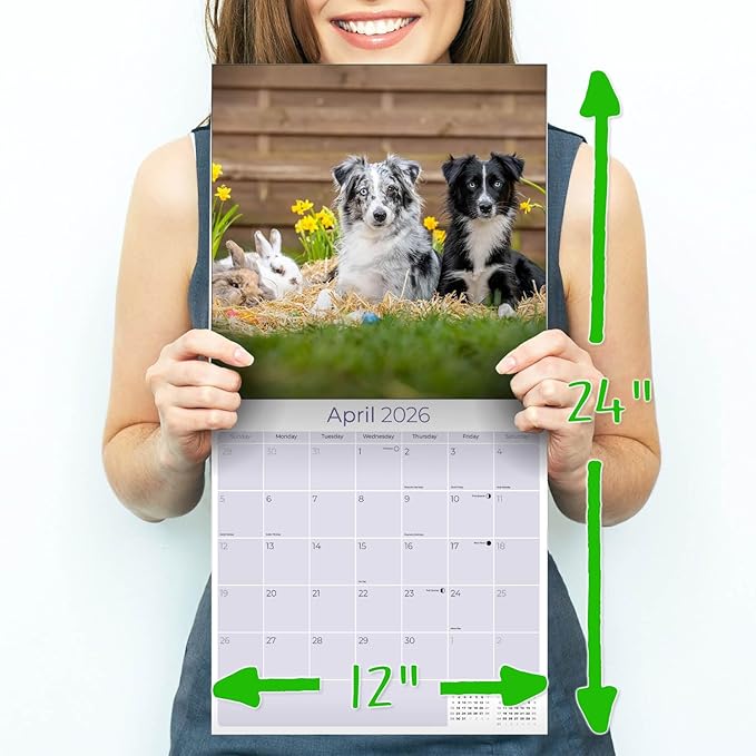 Australian Shepherd Calendar 2026 – 16-Month Dog Breed Wall Calendar by MegaCalendars – Large Daily Blocks, Thick No-Bleed Paper, Made in USA