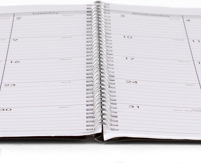 AT-A-GLANCE Planner 2025-2026 Academic, Monthly, 8" x 12", Large, Flexible Cover, DayMinder, Black (AY200)