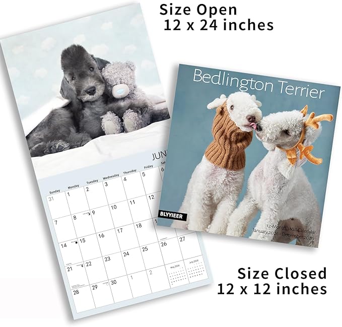2026 Wall Calendar, Bedlington Terrier Wall Calendar, 12" x 24" Open,Family Planner Calendar, Home & Office Organizer,Hangable, for Dogs Lover