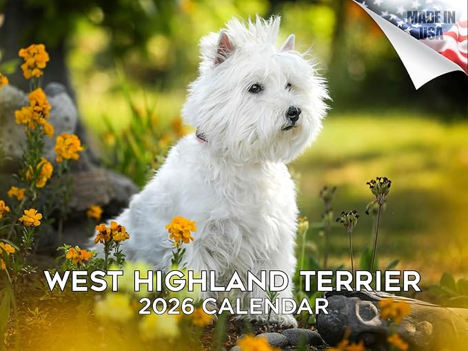 2025 2026 West Highland Terrier Calendar - Dog Breed Monthly Wall Calendar - 12" x 18" Open - Thick No-Bleed Paper - Giftable - Academic Teacher's Planner Calendar Organizing & Planning - Made in USA