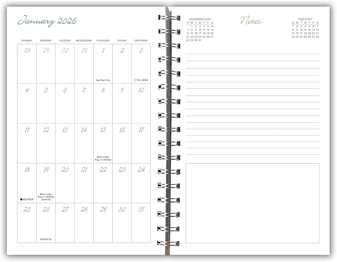 Cat Naps 2026 Weekly & Monthly Planner, 12-Month Engagement Calendar: 2026