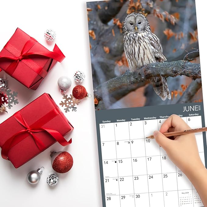 2026 Wall Calendar,Owl Calendar 2026,OWL Monthly Wall Calendar, 12" x 24" Open,Family Planner Calendar, Home & Office Organizer,Hangable