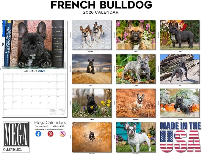 2025 2026 French Bulldog Calendar - Dog Breed Monthly Wall Calendar - 12" x 18" Open - Thick No-Bleed Paper - Giftable - Academic Teacher's Planner Calendar Organizing & Planning - Made in USA