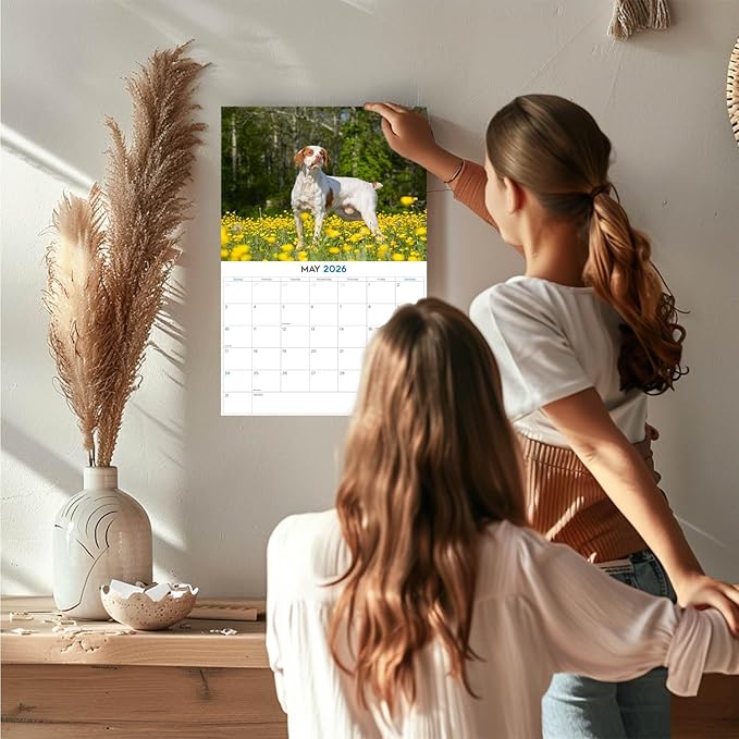 2025 2026 Brittany Calendar - Dog Breed Monthly Wall Calendar - 12" x 18" Open - Thick No-Bleed Paper - Giftable - Academic Teacher's Planner Calendar Organizing & Planning - Made in USA