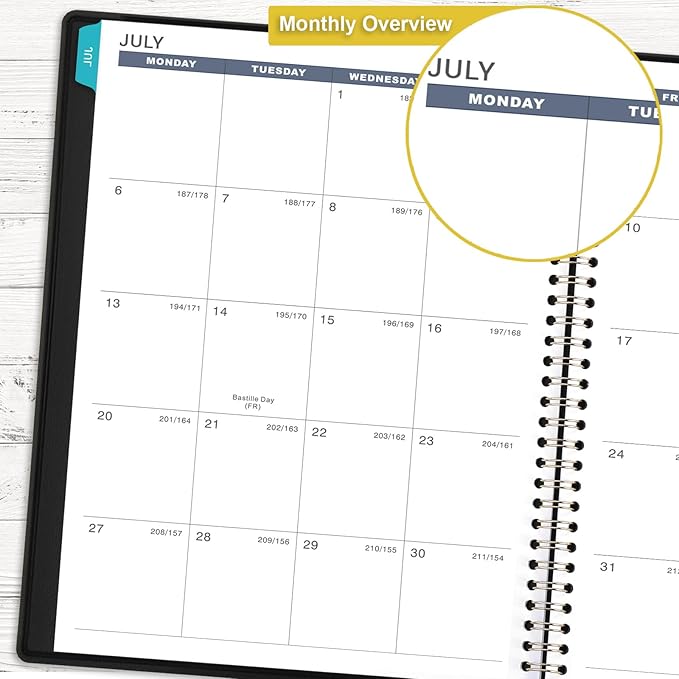 Appointment Book/Planner 2026-2027 - Weekly Appointment Book 2026-2027, July 2026 - June 2027, Daily/Hourly Planner with Tabs, 15 Minutes, 8.26" x 11.4", Wirebound - Black