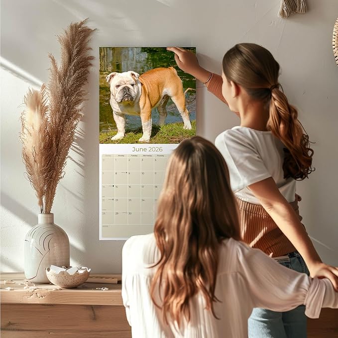 Bulldog Calendar 2026 by MegaCalendars – Monthly Dog Breed Wall Calendar, Made in USA