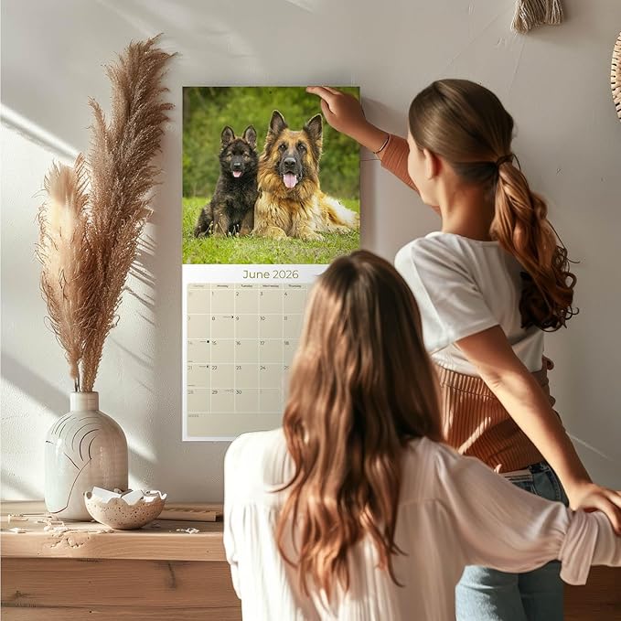 German Shepherd Calendar 2027 – Dog Calendar 2027 Wall Calendar, 16 Month Wall Planner, Large Writing Blocks, Thick No Bleed Paper, Made in USA, Dog Lover Gift