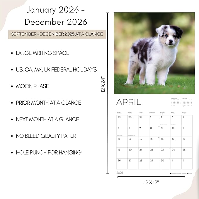 Australian Shepherd Puppy 2026 Wall Calendar | 12" x 24" Open | Dog Photography Thick & Sturdy Paper for Planning | Office Kitchen Decor or Gift | Pacific Waters Press (Australian Shepherd Puppies)