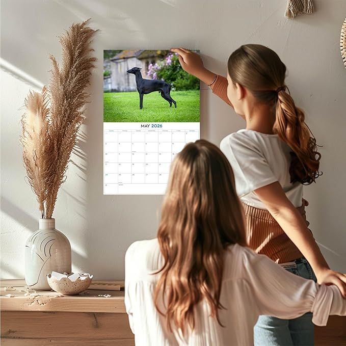 2025 2026 Italian Greyhound Calendar - Dog Breed Monthly Wall Calendar - 12" x 18" Open - Thick No-Bleed Paper - Giftable - Academic Teacher's Planner Calendar Organizing & Planning - Made in USA