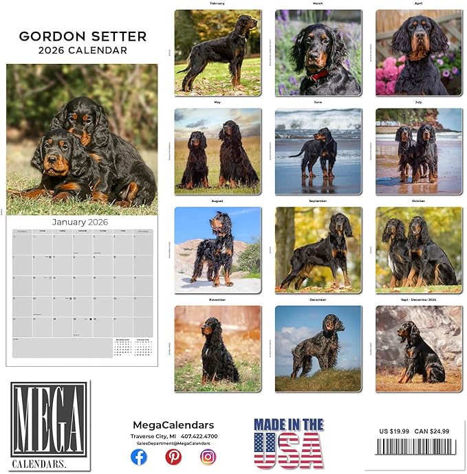 Gordon Setter Calendar 2026 by MegaCalendars – Monthly Dog Breed Wall Calendar, Made in USA