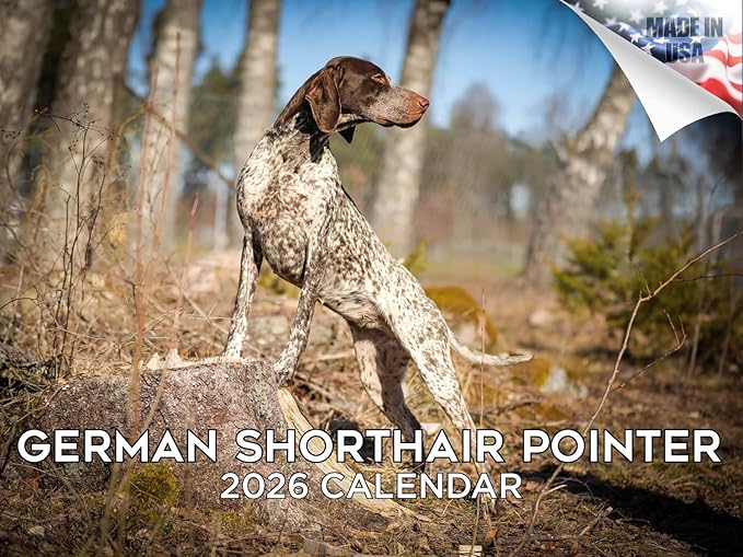 2025 2026 German Shorthair Pointer Calendar - Dog Breed Monthly Wall Calendar - 12" x 18" Open - Thick No-Bleed Paper - Giftable - Academic Teacher's Planner Calendar Organizing & Planning - Made in USA