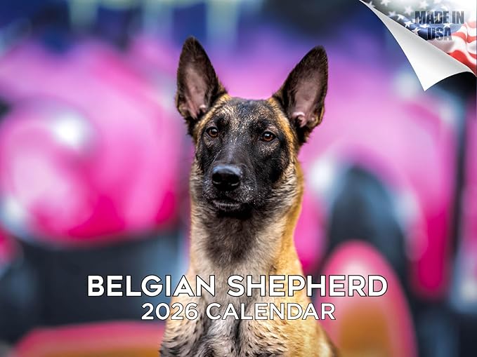 2025 2026 Belgian Shepherd Calendar - Dog Breed Monthly Wall Calendar - 12" x 18" Open - Thick No-Bleed Paper - Giftable - Academic Teacher's Planner Calendar Organizing & Planning - Made in USA
