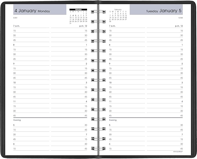 AT-A-GLANCE 2027 Appointment Book Planner, Daily, 5" x 8", Quarter-Hourly, DayMinder, Black (G1000027)