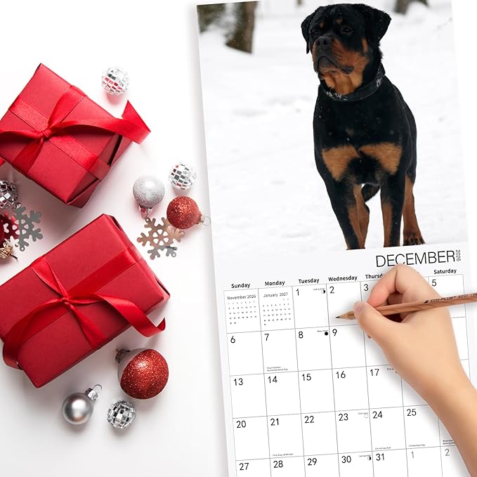 2026 Wall Calendar,ROTTWEILER Wall Calendar, 12" x 24" Open,Family Planner Calendar Organizer with ROTTWEILER Images, for Dogs Lovers