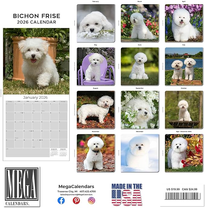 Bichon Frise Calendar 2026 by MegaCalendars – Monthly Dog Breed Wall Calendar, Made in USA