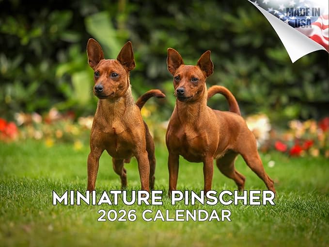 2025 2026 Miniature Pinscher Calendar - Dog Breed Monthly Wall Calendar - 12" x 18" Open - Thick No-Bleed Paper - Giftable - Academic Teacher's Planner Calendar Organizing & Planning - Made in USA