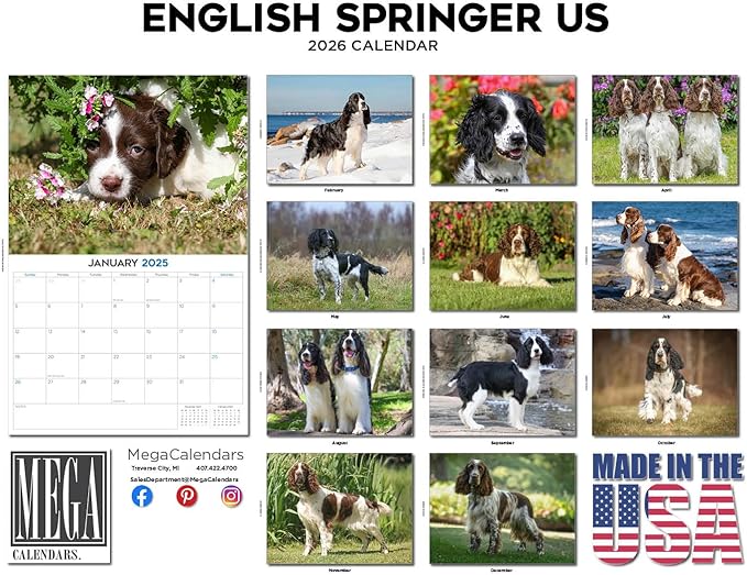 2025 2026 English Springer US Calendar - Dog Breed Monthly Wall Calendar - 12" x 18" Open - Thick No-Bleed Paper - Giftable - Academic Teacher's Planner Calendar Organizing & Planning - Made in USA