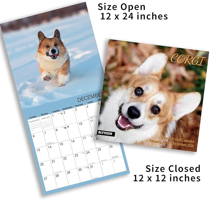 2026 Wall Calendar,Corgi Wall Calendar, 12" x 24" Open,Family Planner Calendar Organizer with Corgi Images, for Dogs Lovers
