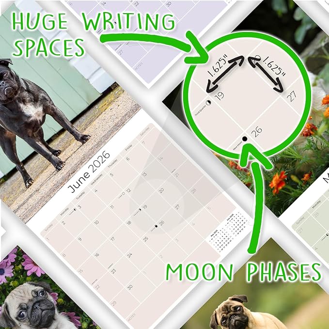 Pug Calendar 2026 by MegaCalendars – Monthly Dog Breed Wall Calendar, Made in USA