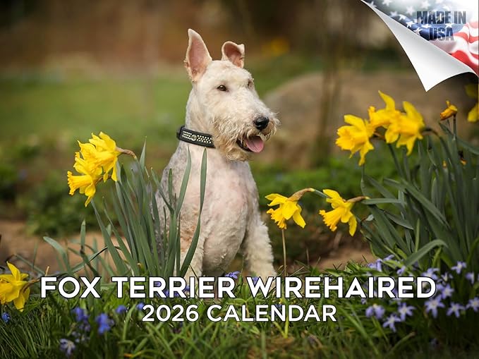 2025 2026 Fox Terrier Wirehaired Calendar - Dog Breed Monthly Wall Calendar - 12" x 18" Open - Thick No-Bleed Paper - Giftable - Academic Teacher's Planner Calendar Organizing & Planning - Made in USA