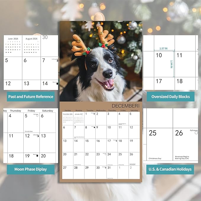 2025-2026 Wall Calendar,Border Collie Wall Calendar, 12" x 24" Open,Family Planner Calendar Organizer withBorder Collie Images, for Dogs Lovers